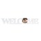 Sublimation Blank White Coated Wood Word Blocks Home Décor for Mantle– Sublimation Ready with 3.74” Plate